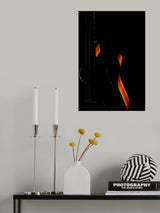 Curves. Poster och Canvastavla