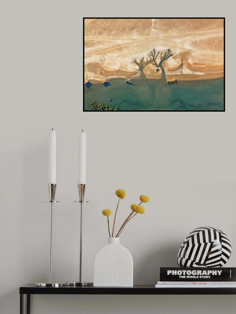 Trees of life Poster och Canvastavla