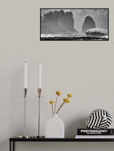f u r y Poster och Canvastavla