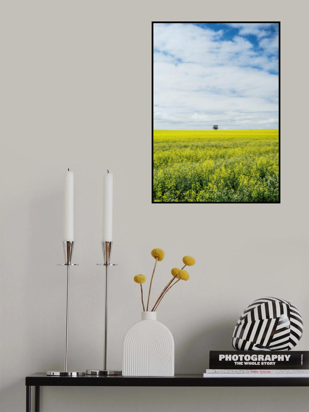Paarl Poster och Canvastavla