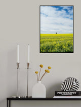 Paarl Poster och Canvastavla
