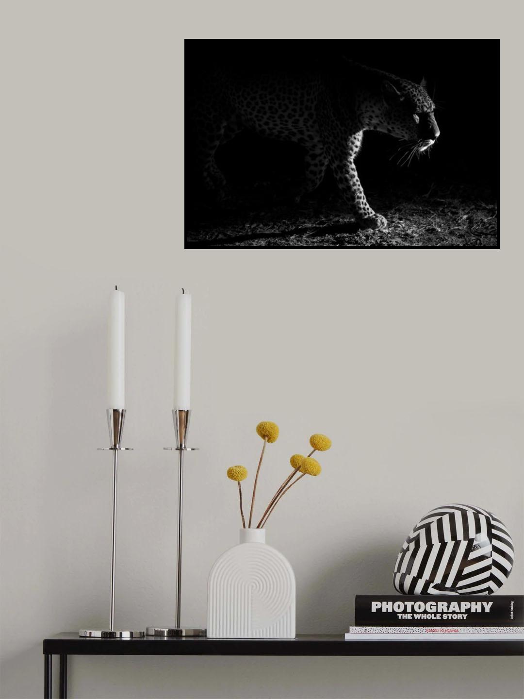 Leopard night hunt Poster och Canvastavla