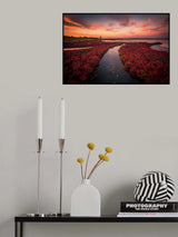 Red grass Poster och Canvastavla