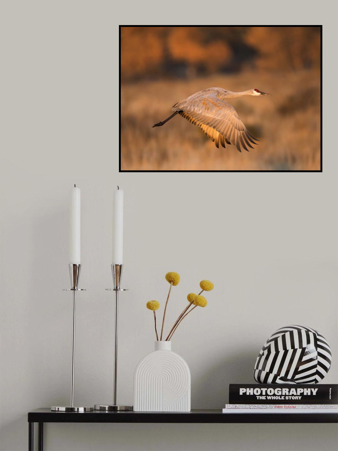 Golden Poster och Canvastavla