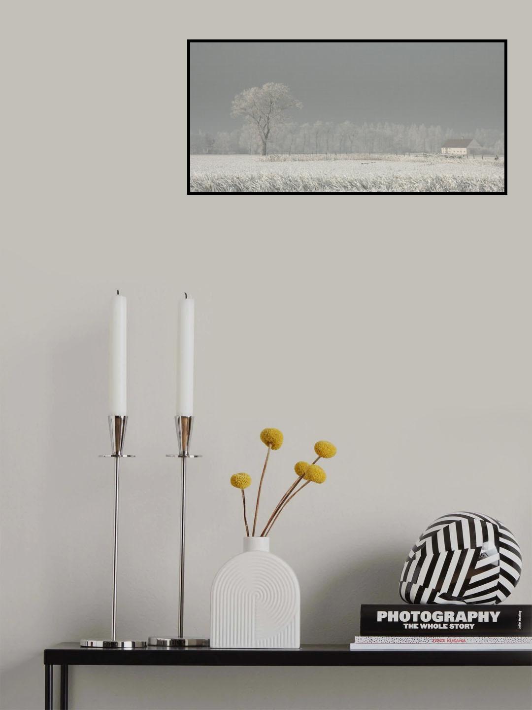Winter Polderland... Winter Wonderland (2) Poster och Canvastavla