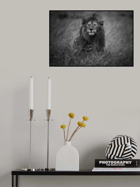 Lion King Poster och Canvastavla