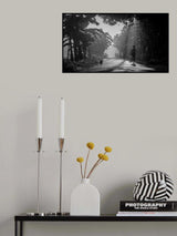Morning Light Poster och Canvastavla