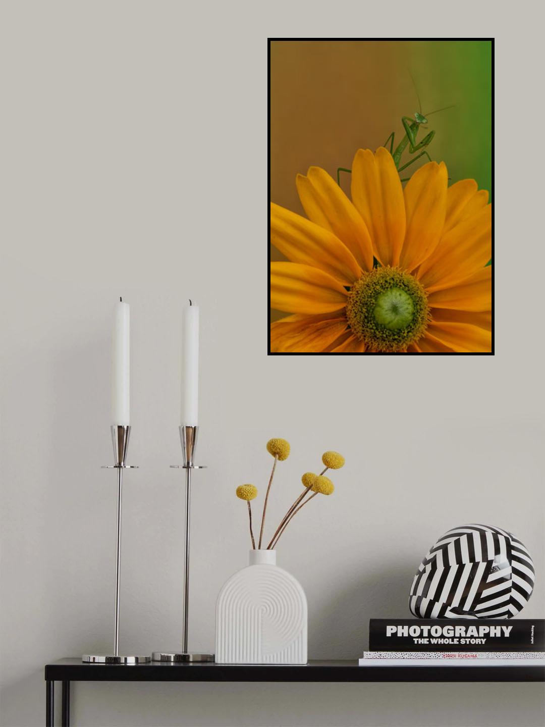 Mantis &amp; flower II Poster och Canvastavla