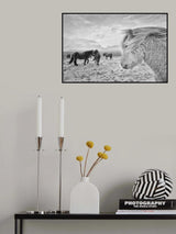 Tough guys Poster och Canvastavla