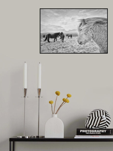 Tough guys Poster och Canvastavla