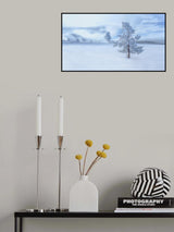 A snow covered longly tree Poster och Canvastavla