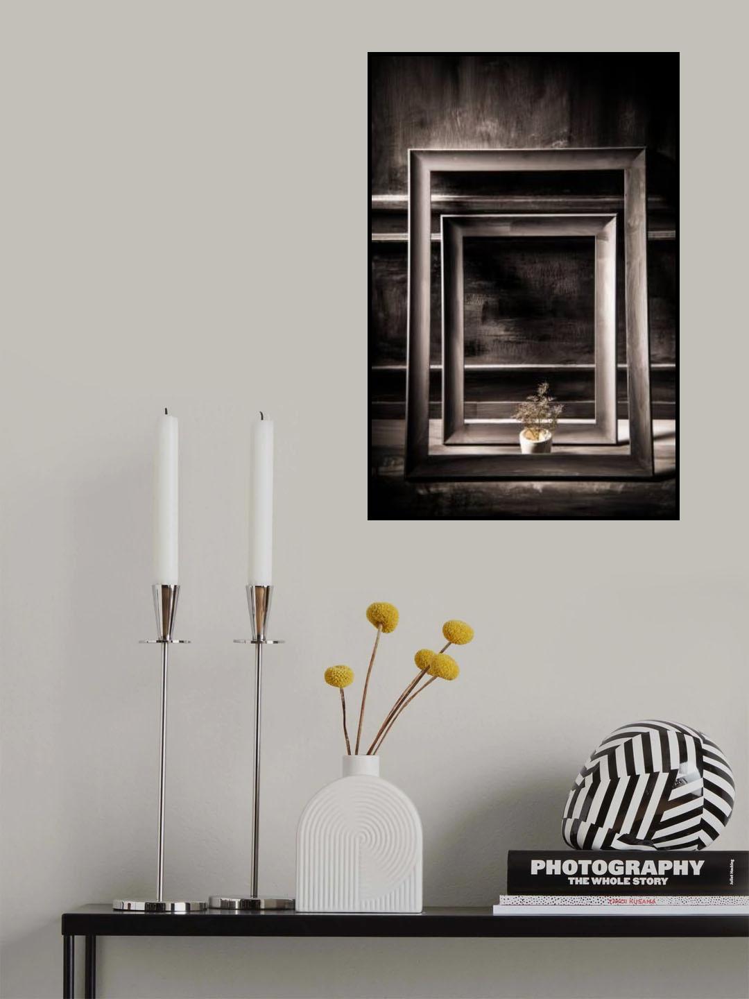 Color in gray Poster och Canvastavla
