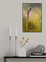 Morning dew Poster och Canvastavla