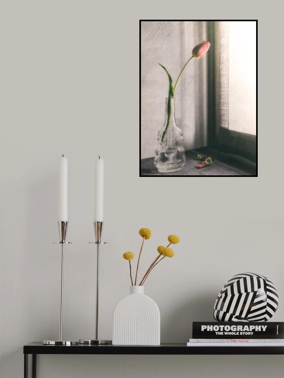 Melanchonic mood Poster och Canvastavla