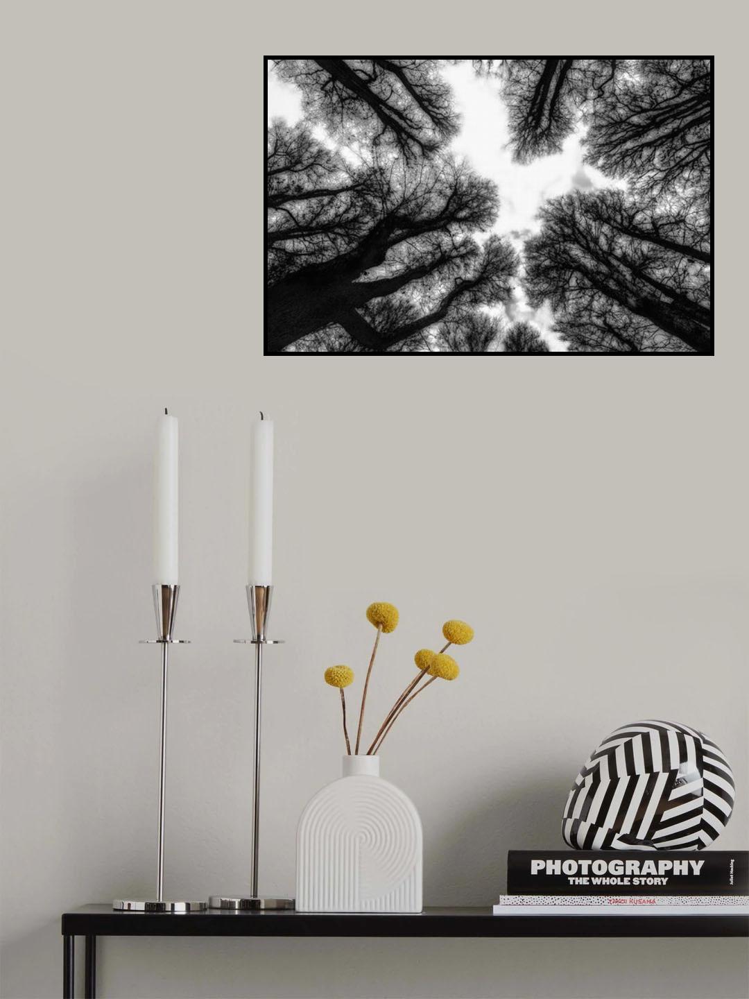 Late Winter Poster och Canvastavla