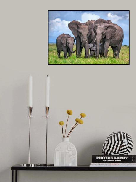 Elephant Family Poster och Canvastavla
