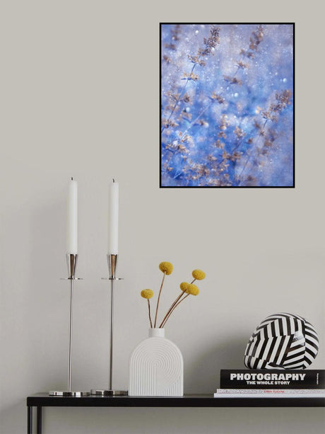 Early Winter Poster och Canvastavla