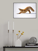 Melting Heart (Anahatasana) Poster och Canvastavla