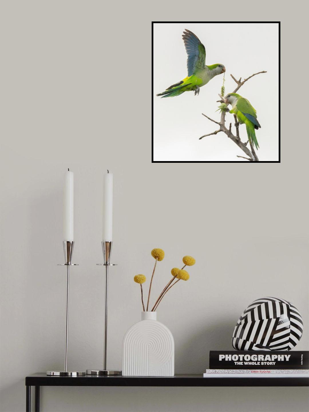 Symmetry Poster och Canvastavla