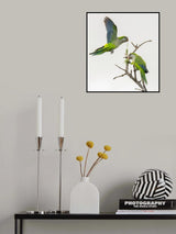 Symmetry Poster och Canvastavla