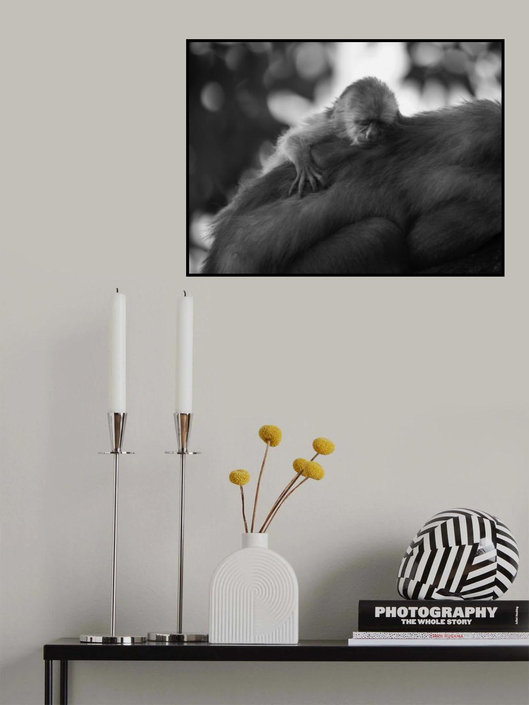 Sleeping Baby Poster och Canvastavla