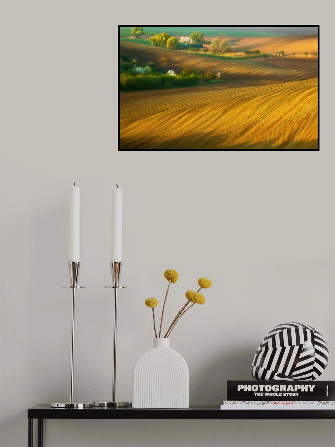 Fields... Poster och Canvastavla