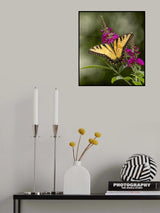 Middle of summer Poster och Canvastavla