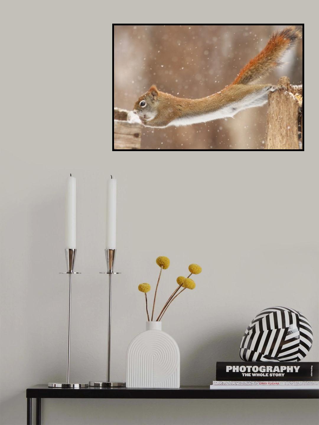 The Acrobat Poster och Canvastavla