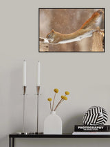 The Acrobat Poster och Canvastavla