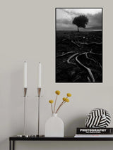 spreading Poster och Canvastavla