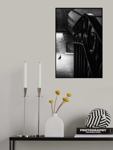 Big Bird in a Small Cage Poster och Canvastavla