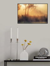 Hut Poster och Canvastavla