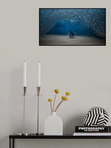 Ocean -the fish home Poster och Canvastavla