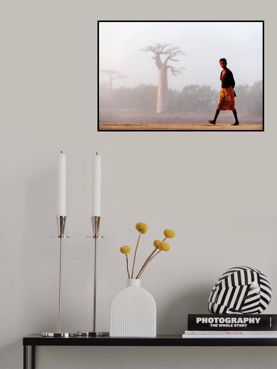 Our way to Madagascar 2016 Poster och Canvastavla
