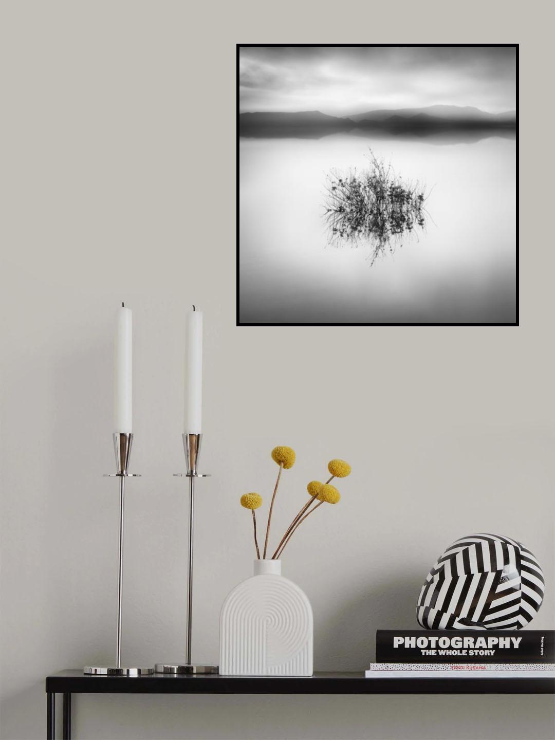 Lake Reflections II Poster och Canvastavla