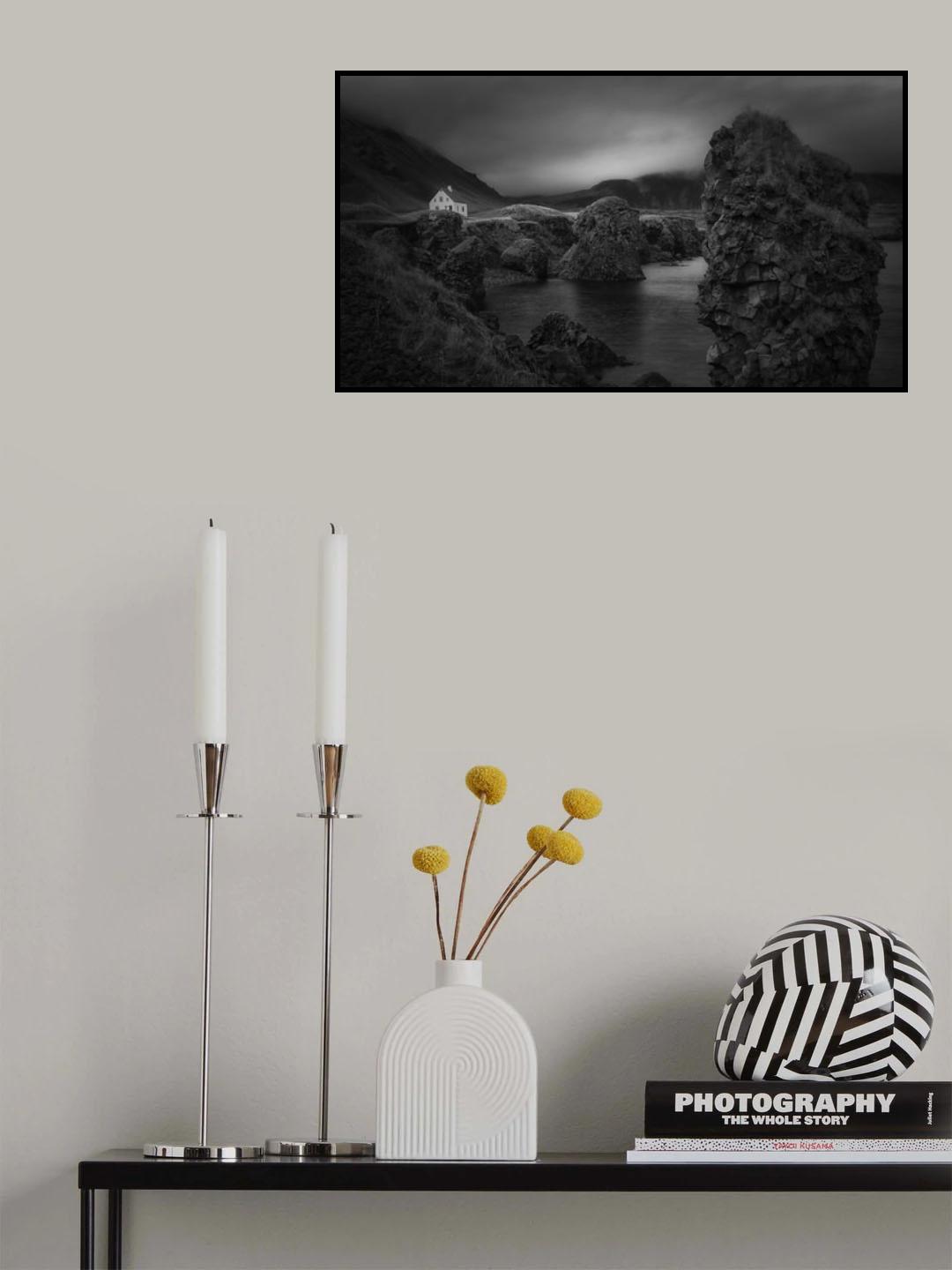 Shades in black Poster och Canvastavla