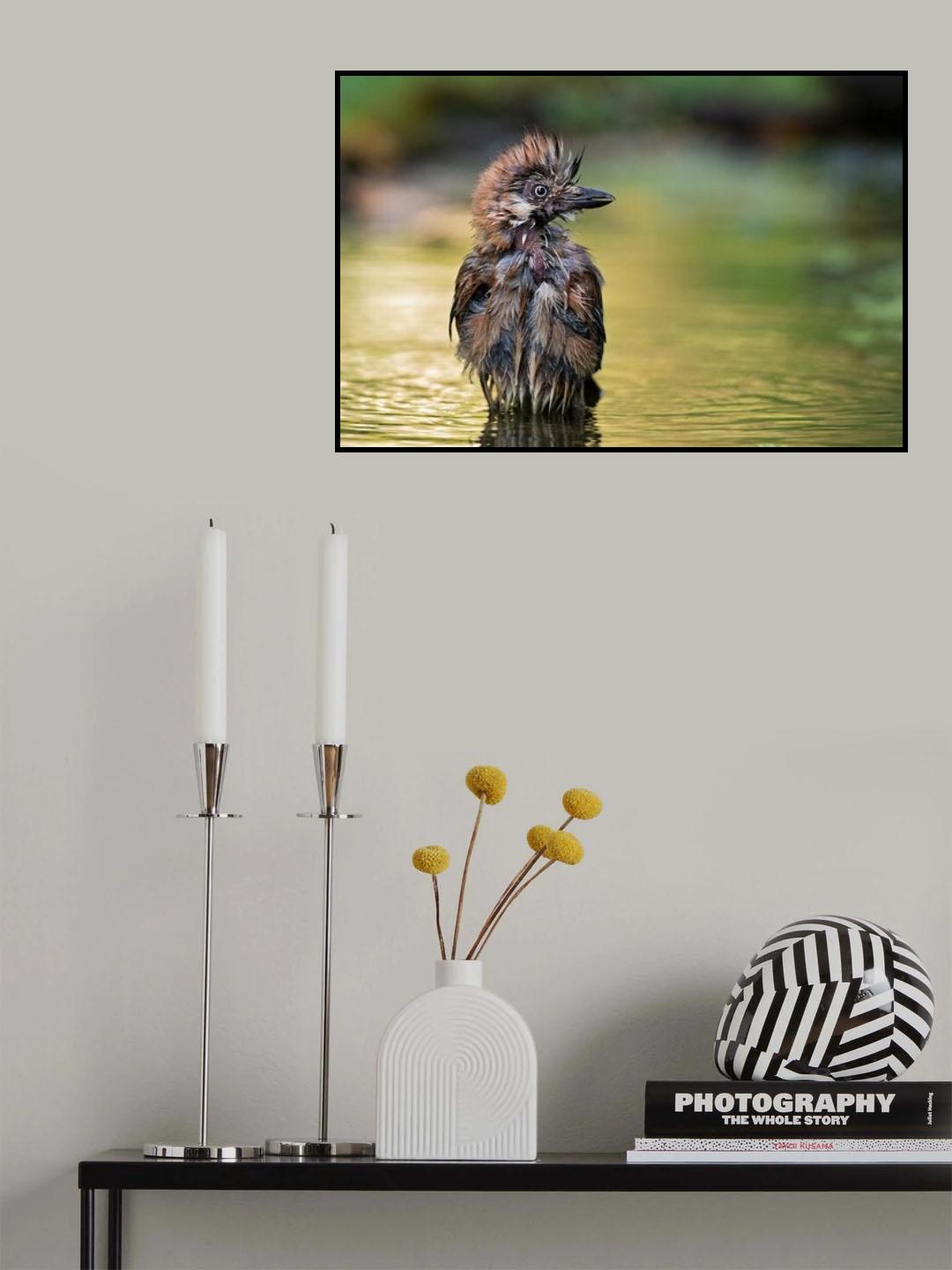 The Punk in the pond Poster och Canvastavla