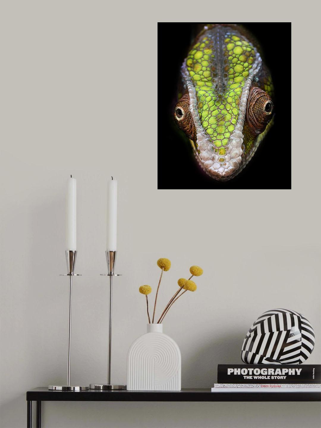 Chameleon's Head Poster och Canvastavla