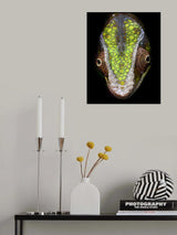 Chameleon's Head Poster och Canvastavla