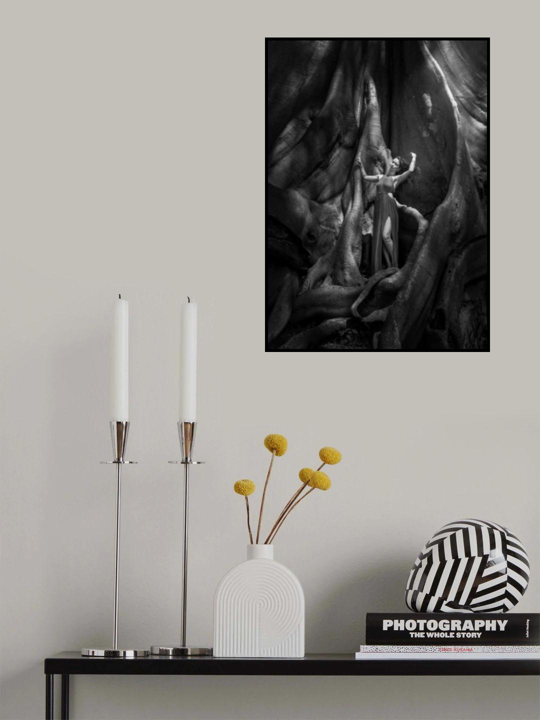 Woman and The Old tree Poster och Canvastavla