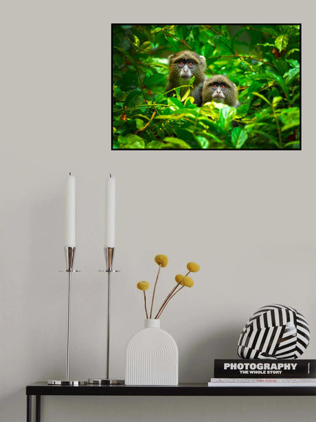 Blue Monkey Poster och Canvastavla