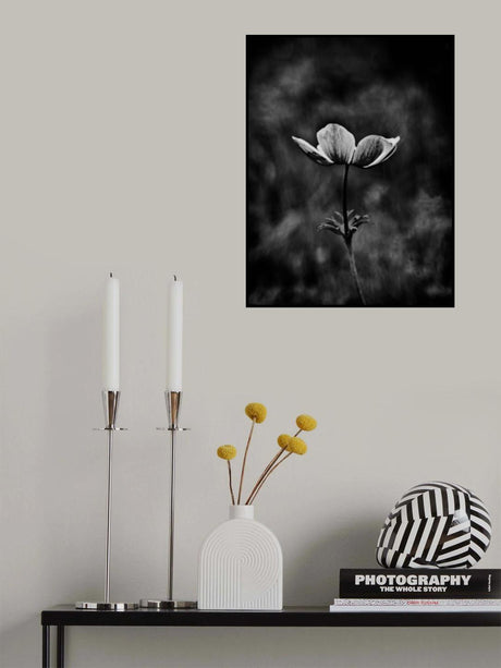 Yes, I am shy Poster och Canvastavla
