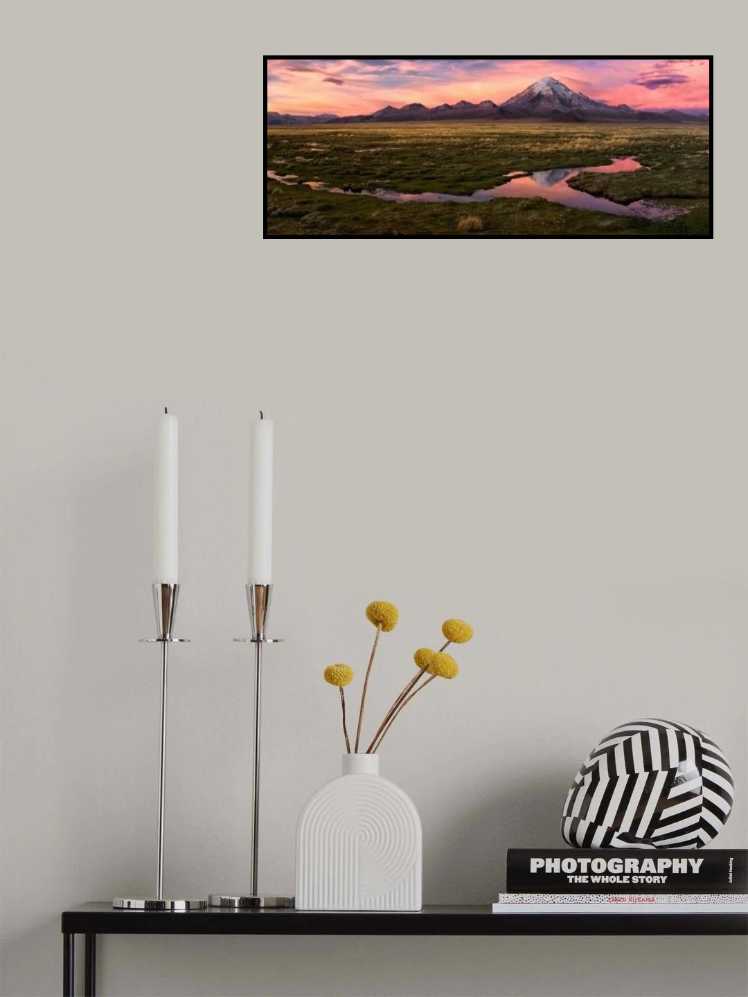 Sajama Poster och Canvastavla