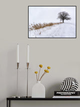 Oak in Fog Poster och Canvastavla