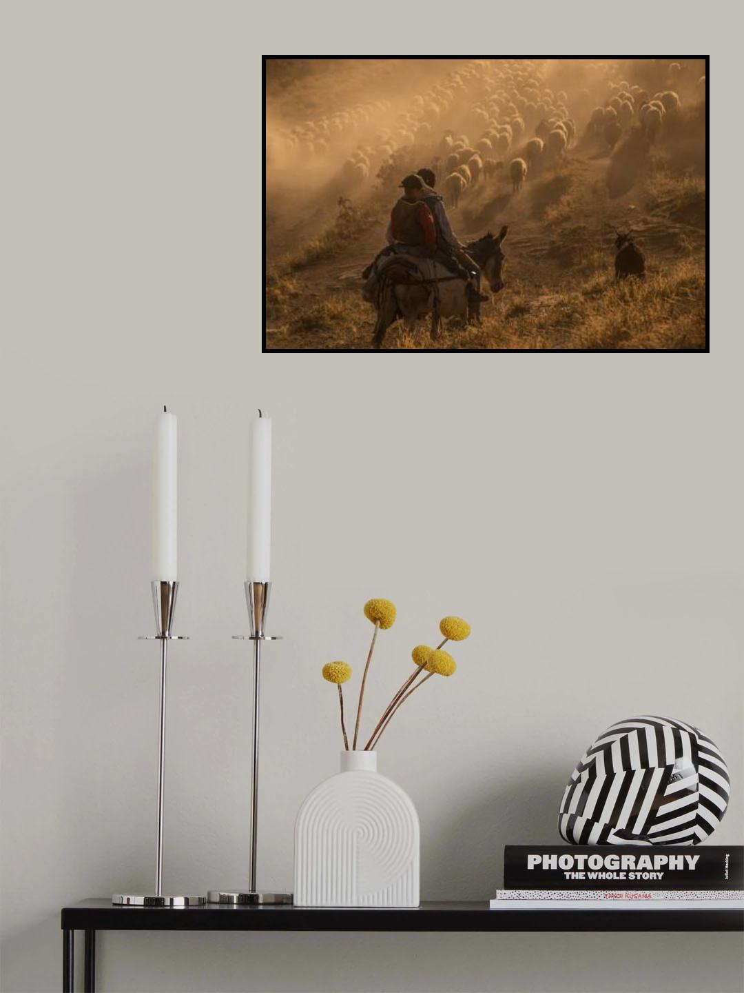 Sheep flock Poster och Canvastavla