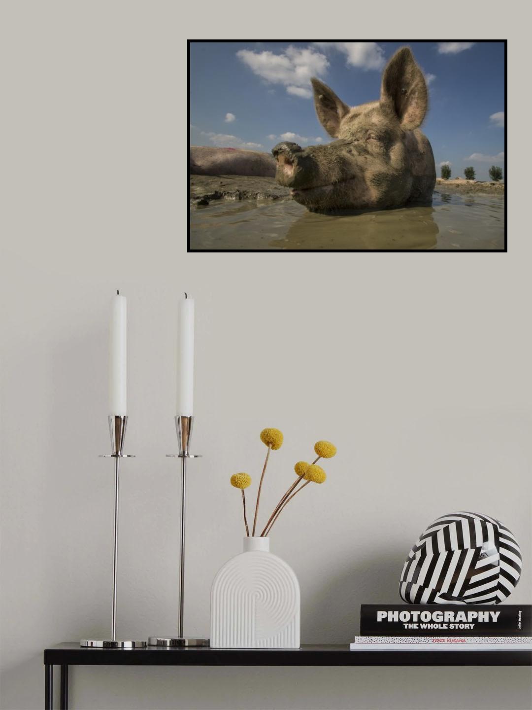 No stress Poster och Canvastavla
