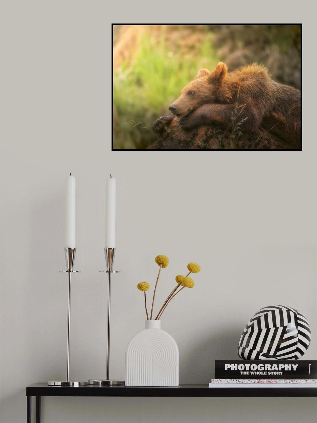 Top model. Poster och Canvastavla