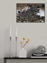 Wildebeests Crossing River Poster och Canvastavla