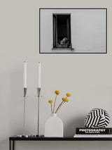 Curiosity at the window Poster och Canvastavla
