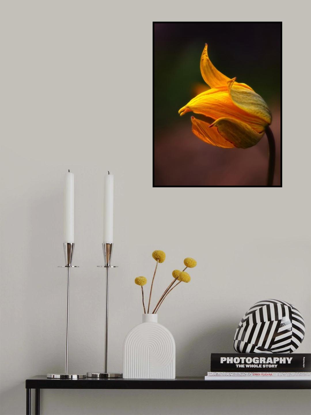 Shine Poster och Canvastavla